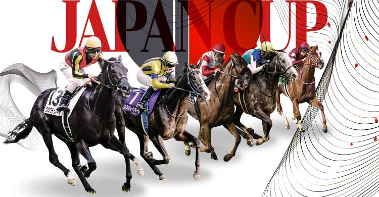 ジャパンカップ最終見解＋京都・京阪杯 注目どころ